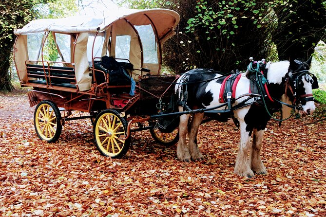 Jaunting Car Tour in Killarney National Park - The carriage ride through Killarney National Park