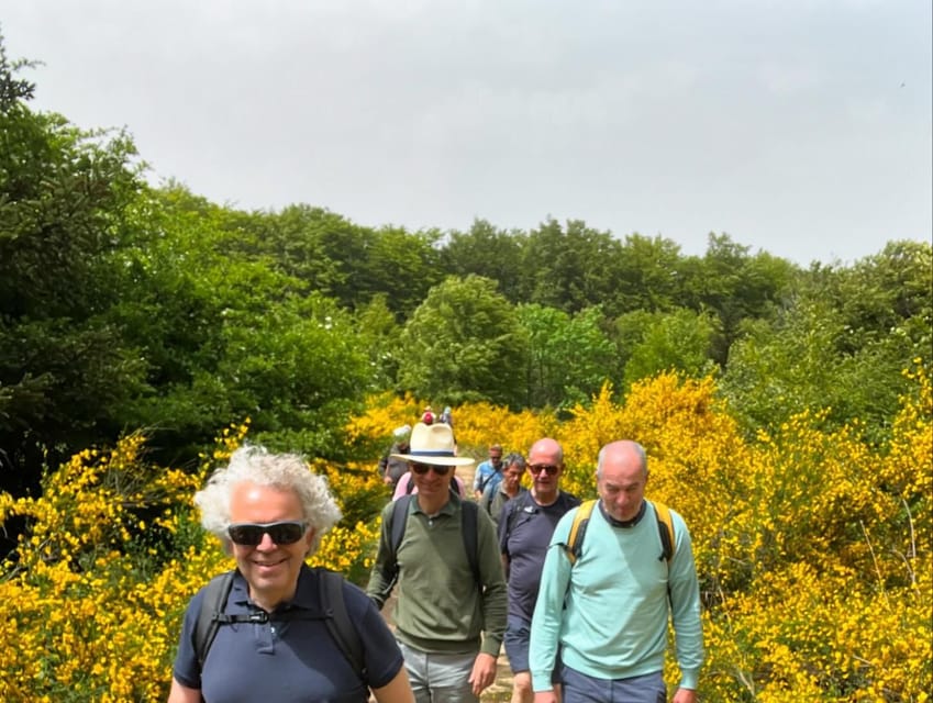 Jeep safari in the Aspromonte National Park - Practical details before you book