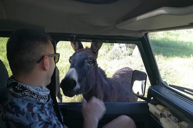 Jeep Safari to Akamas National Park: Avakas Gorge Tour from Paphos - Lunch and a slower hour in Latchi