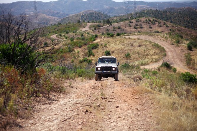 Jeep Safari to Akamas National Park: Avakas Gorge Tour from Paphos - The Baths of Aphrodite: pleasant, but brief