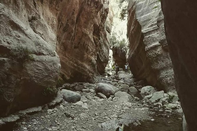 Jeep Safari to Akamas National Park: Avakas Gorge Tour from Paphos - Guides who make or break the day