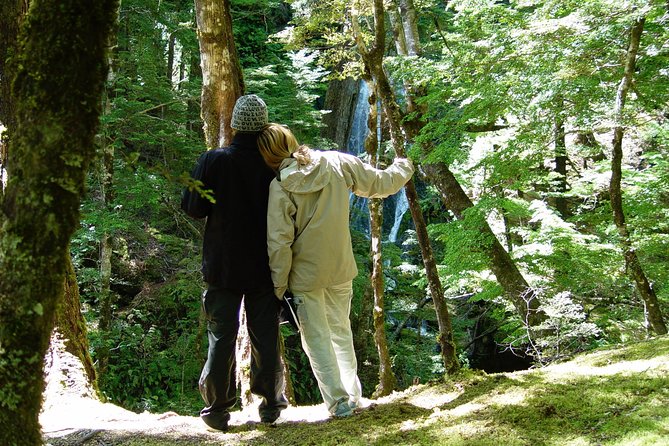 Jet Boat and Wilderness Walk Tour from Wanaka - What Ben and James add to the day