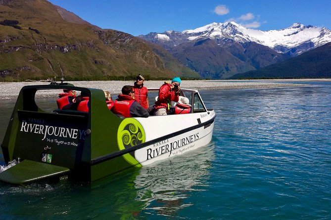 Jet Boat and Wilderness Walk Tour from Wanaka - The 50-minute walk through beech forest