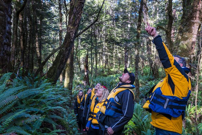 Jet Boat Journey through Fiordland National Park - Pure Wilderness - What the $127.22 price buys you