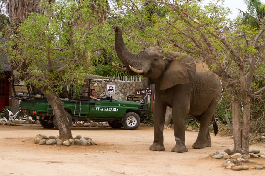 Johannesburg: 3-Day Classic Kruger National Park Safari Tour - Key points at a glance
