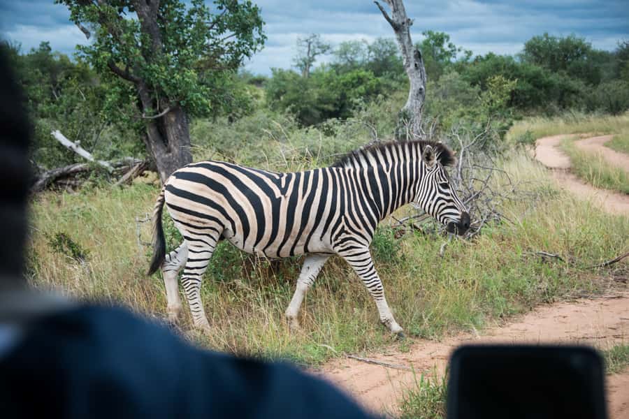 Johannesburg: 3-Day Classic Kruger National Park Safari Tour - FAQ