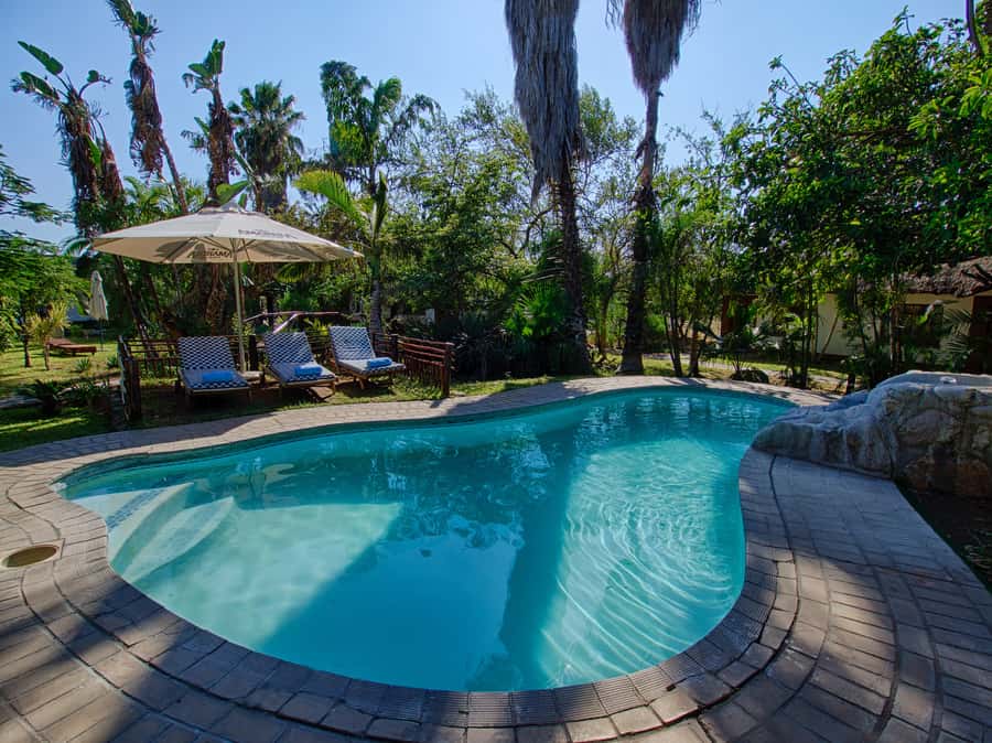 Johannesburg: 3-Day Classic Kruger National Park Safari Tour - Why this short Kruger safari works