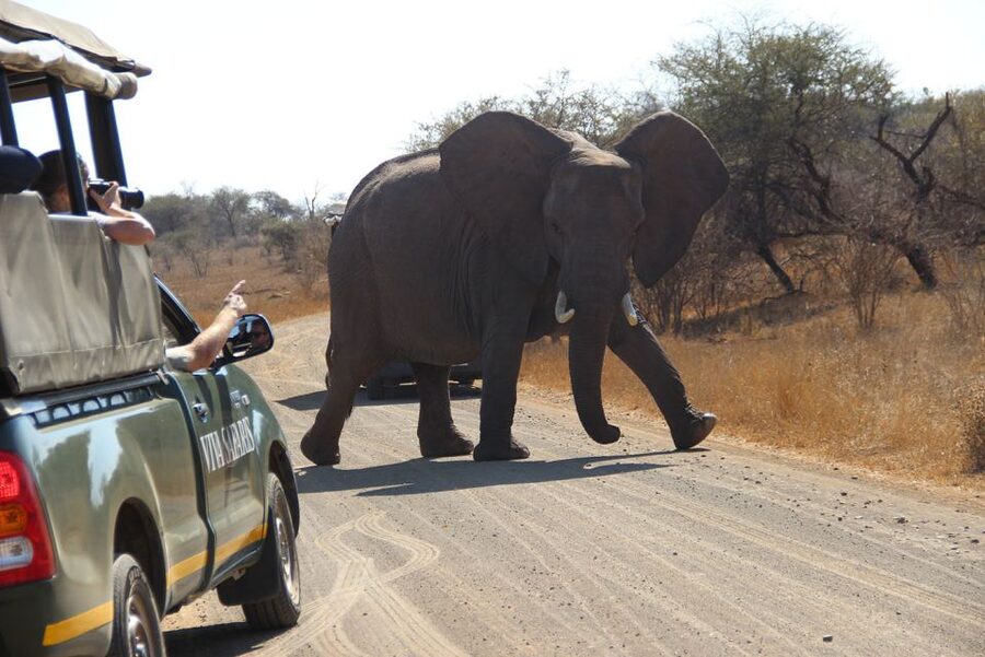Johannesburg: 3-Day Classic Kruger National Park Safari Tour - Guides, meals, and the feel of the group