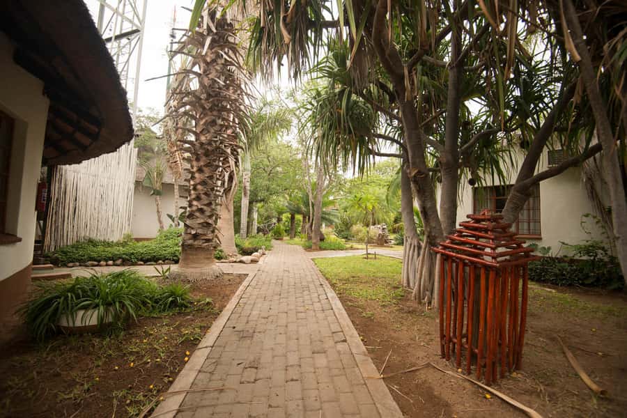 Johannesburg: 4-Day Classic Kruger National Park Safari - Day four: Sunrise, a final breakfast, and Three Rondawels