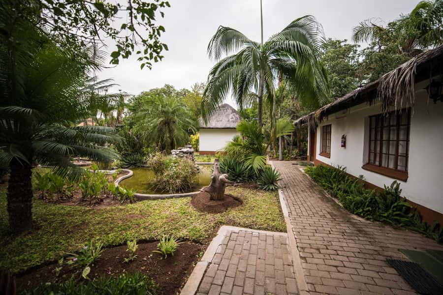 Johannesburg: 4-Day Classic Kruger National Park Safari - Should you book the four-day Kruger safari?