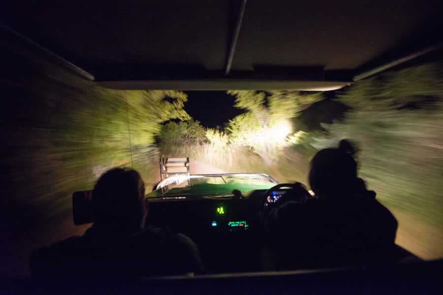 Johannesburg: 4-Day Classic Kruger National Park Safari - Day two: A four-hour walk with armed field guides