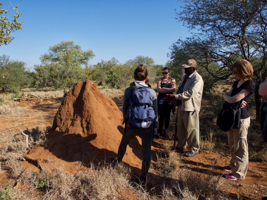 Johannesburg: 5-Day Classic Kruger National Park Safari - Key things to know before booking