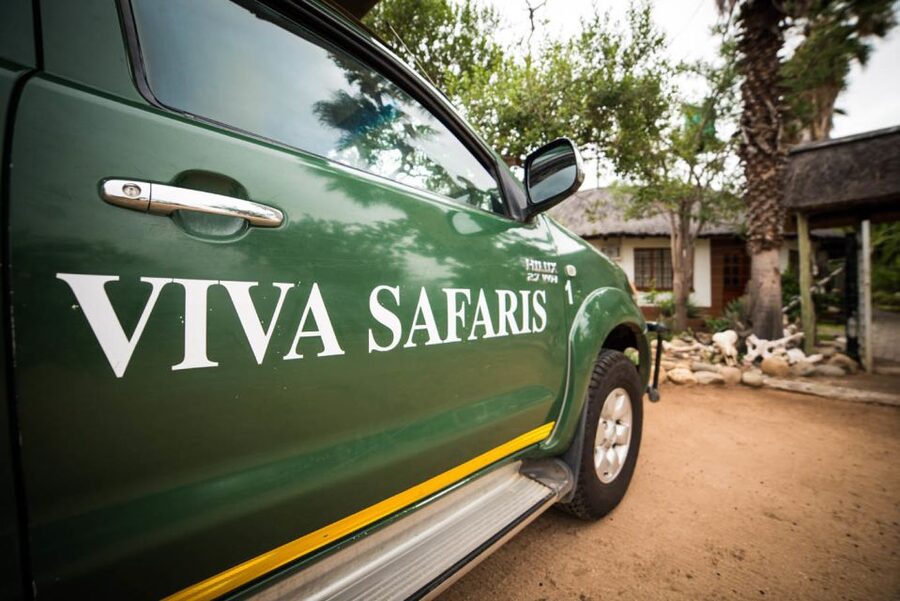 Johannesburg: 5-Day Classic Kruger National Park Safari - Day 3: Full-day game viewing in Kruger
