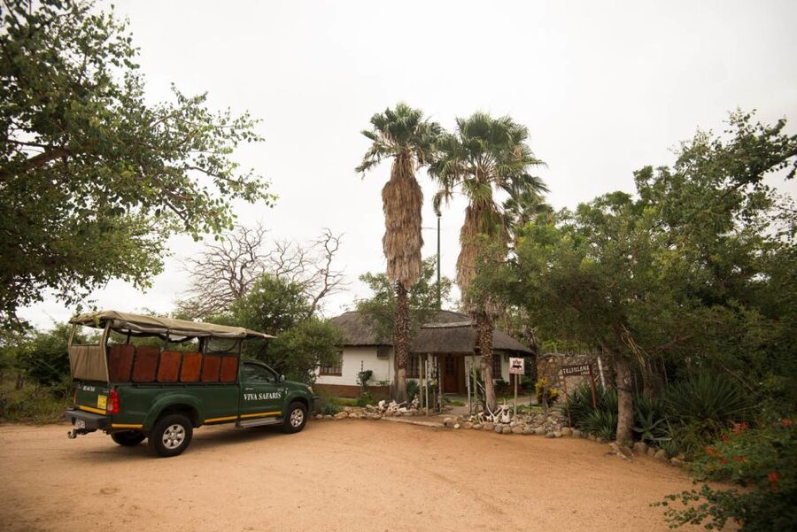 Johannesburg: 5-Day Classic Kruger National Park Safari - What to pack and how to handle the schedule