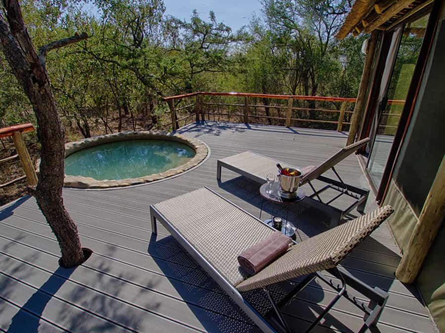 Johannesburg: 6-Day Luxury Kruger National Park Safari - Day 4: Moholoholo and another Balule sunset