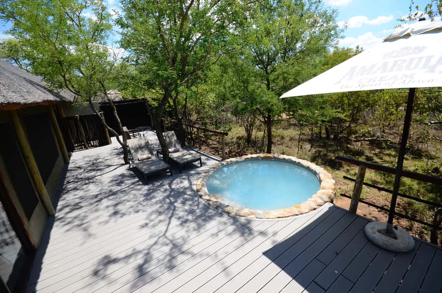Johannesburg: 6-Day Luxury Kruger National Park Safari - Day 6: Morning walk and the Blyde River Canyon