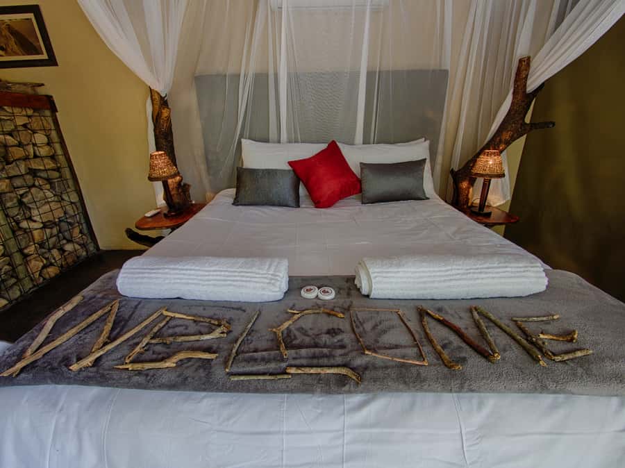 Johannesburg: 6-Day Luxury Kruger National Park Safari - Day 1: Johannesburg to Tremisana and the first night drive