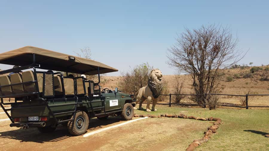 Johannesburg: Rhino and Lion Nature Reserve Safari - Is $121 a fair price?