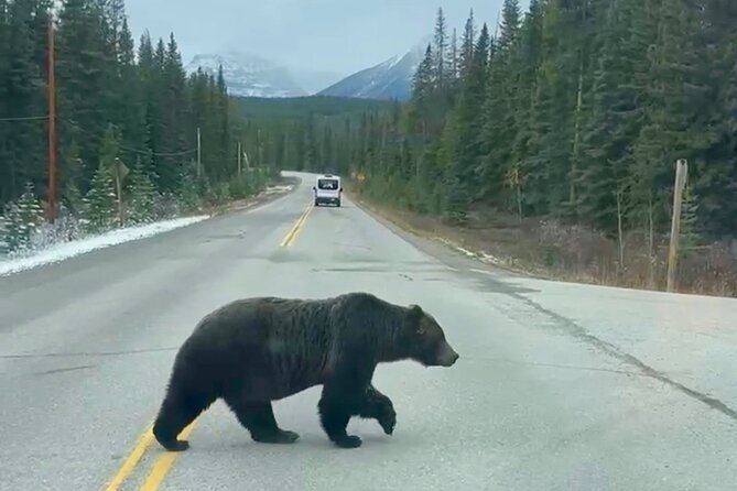 Johnston Canyon, Lake Louise & Banff: Small-Group Day Tour - Vermilion Lakes and Bow Falls