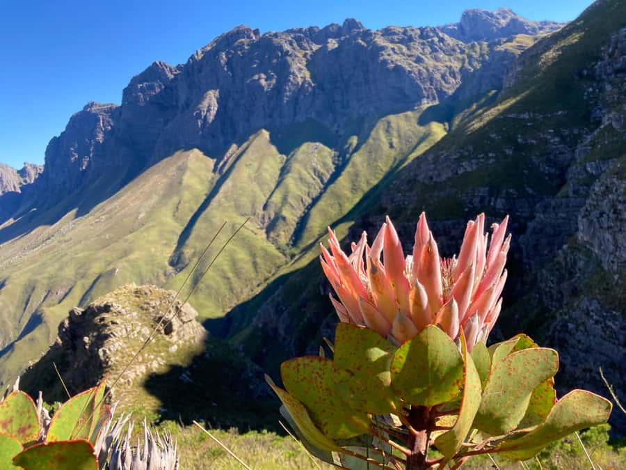 Jonkershoek Nature Reserve: Guided Panorama Trail Hike - Why this is a serious hike, not a casual walk