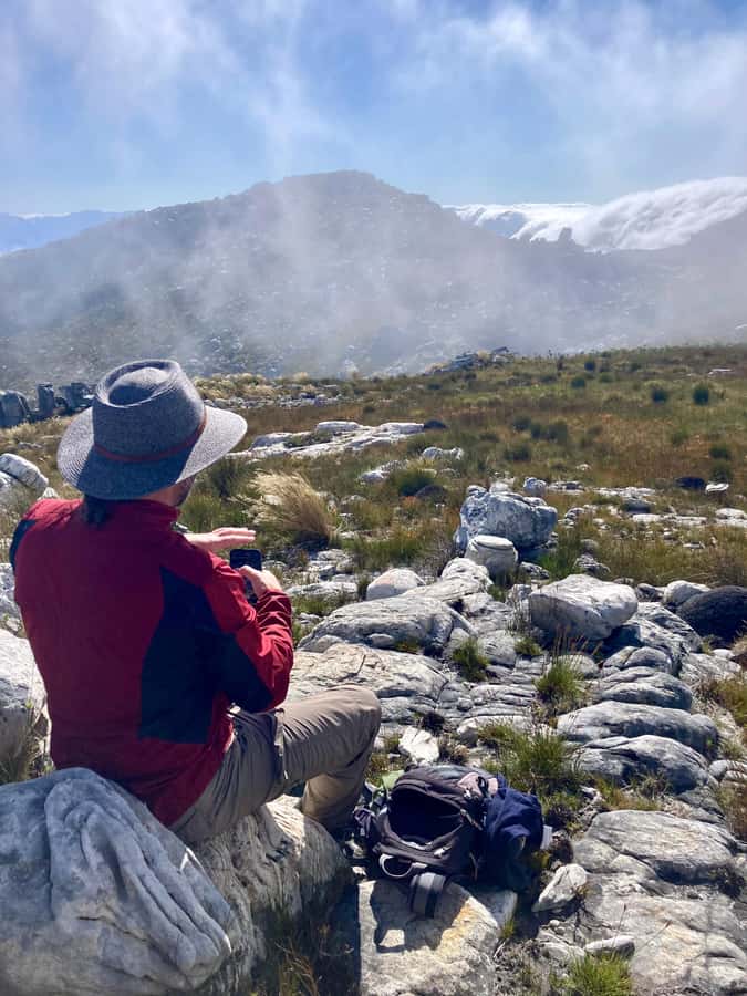 Jonkershoek Nature Reserve: Guided Panorama Trail Hike - Proteas, fynbos, cliffs, and open ridges
