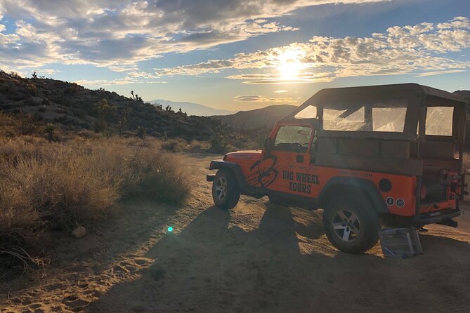 Joshua Tree National Park Offroad Tour - Three hours among Joshua trees, rock, and desert life