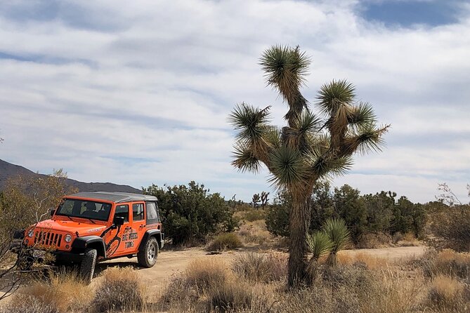 Joshua Tree National Park Offroad Tour - What the ride feels like in practical terms