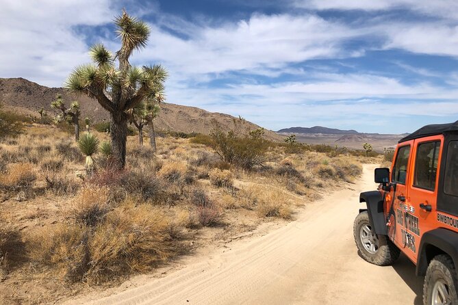 Joshua Tree National Park Offroad Tour - Who should choose this tour?