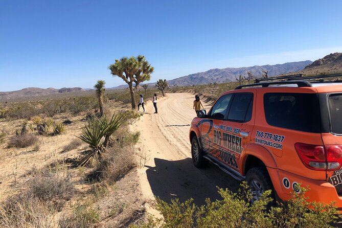 Joshua Tree National Park Offroad Tour - Guides who turn scenery into a story
