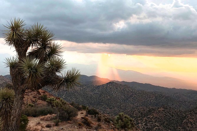 Joshua Tree National Park Scenic Tour - Barker Dam combines desert ecology and human traces