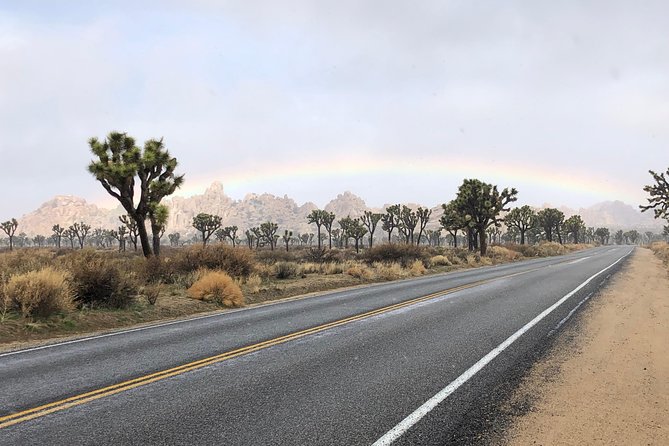 Joshua Tree National Park Scenic Tour - Keys View delivers the tour’s widest panorama