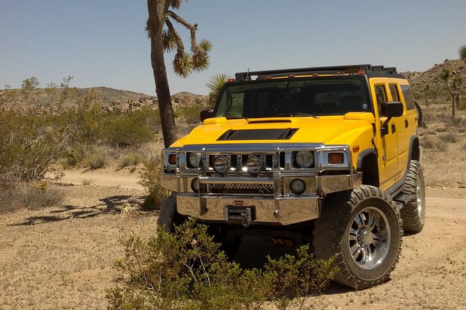 Joshua Tree National Park Scenic Tour - Van comfort, visibility, and seasonal vehicle changes