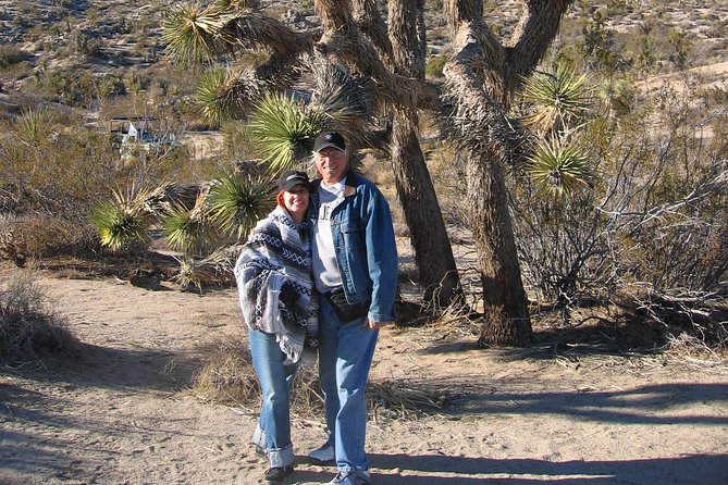 Joshua Tree National Park Scenic Tour - Is the $159 price fair?