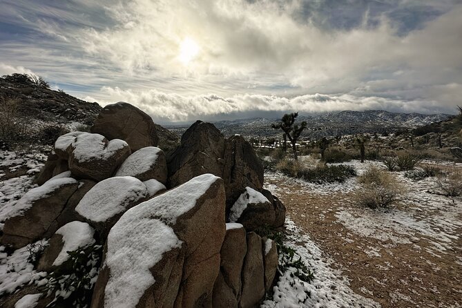 Joshua Tree National Park Self-Guided Driving Audio Tour - Why an audio tour helps in Joshua Tree