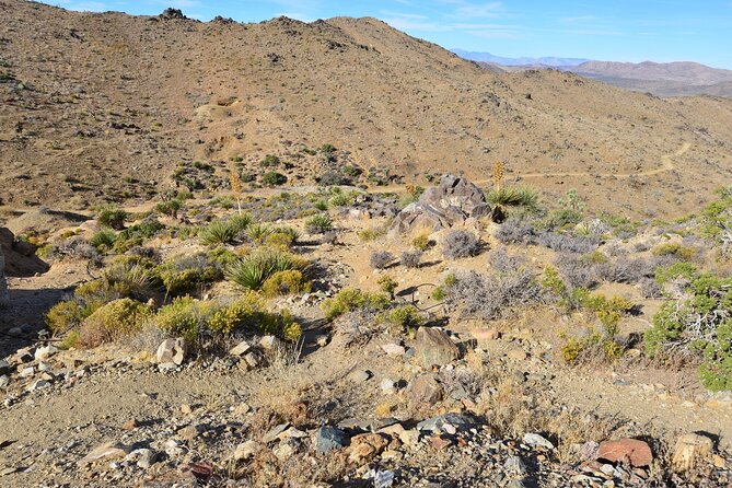 Joshua Tree National Park Self-Guided Driving Audio Tour - Boulders, climbing, and Hidden Valley