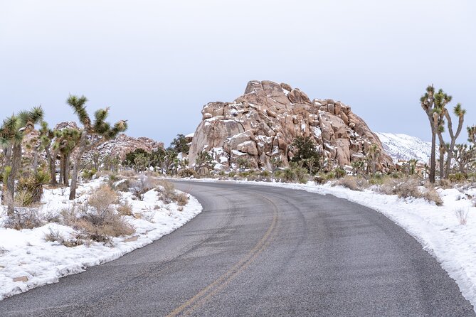 Joshua Tree National Park Self-Guided Driving Audio Tour - Cap Rock and Lost Horse Valley