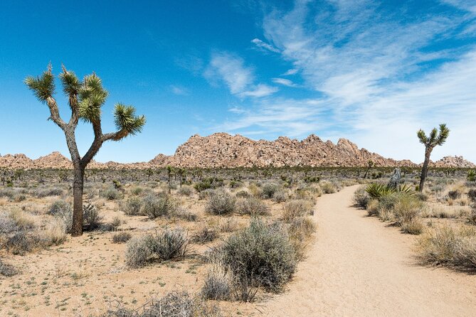 Joshua Tree National Park Self-Guided Driving Audio Tour - Lost Horse Mine and Queen Valley