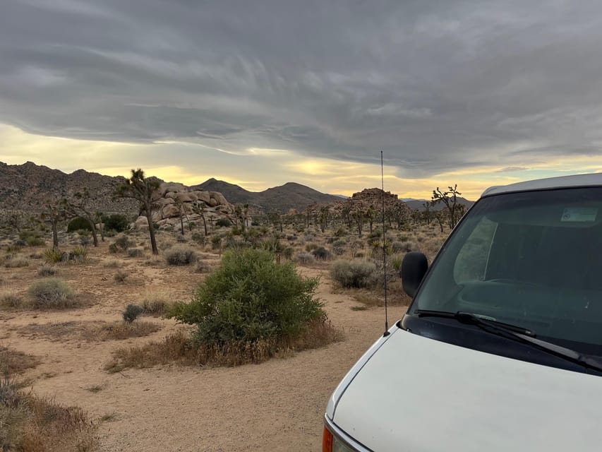 Joshua Tree National Park Tours | Private Tour (Max 10) - Who should book this Joshua Tree tour?