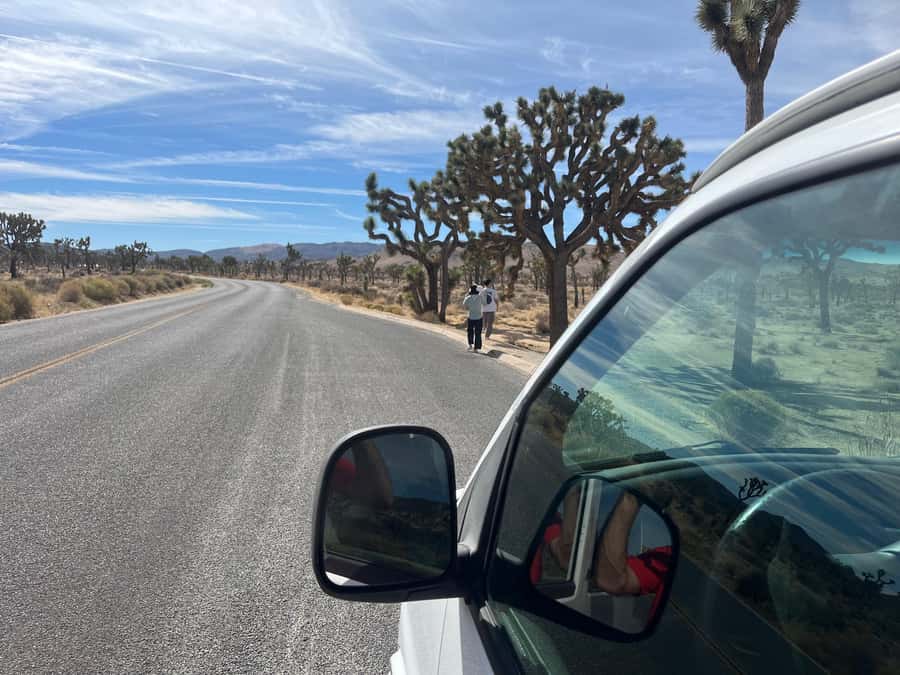 Joshua Tree National Park Tours | Private Tour (Max 10) - A private way to see Joshua Tree from Palm Springs