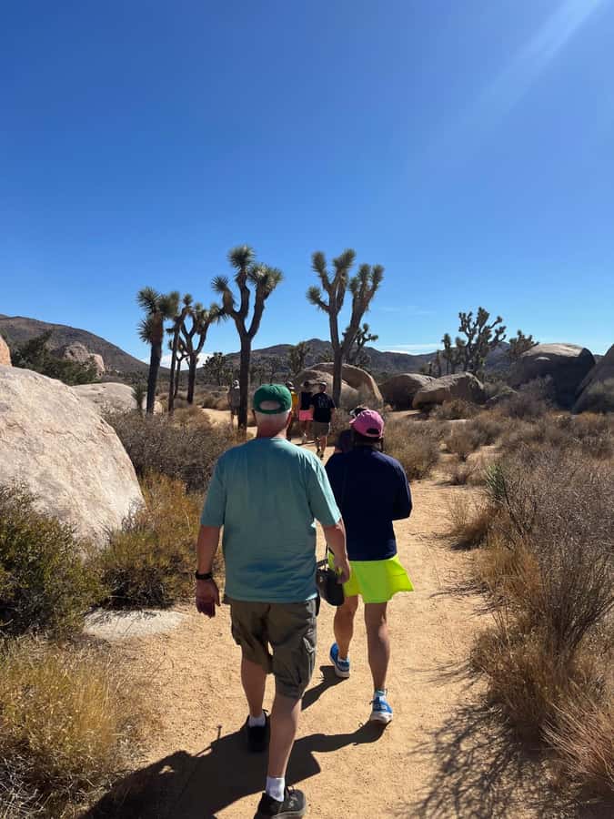 Joshua Tree National Park Tours | Private Tour (Max 10) - Keys View delivers the widest outlook