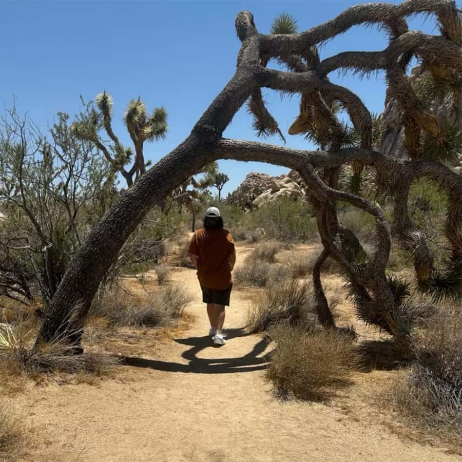 Joshua Tree National Park Tours | Private Tour (Max 10) - Cap Rock offers an easy stop with character