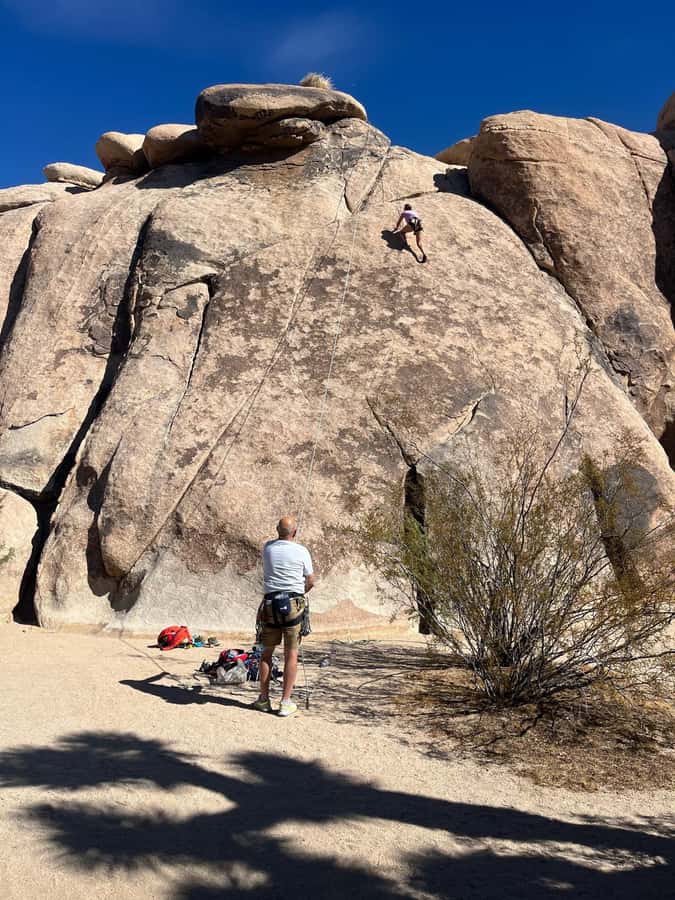 Joshua Tree National Park Tours | Private Tour (Max 10) - What the vehicle, guide, and timing mean