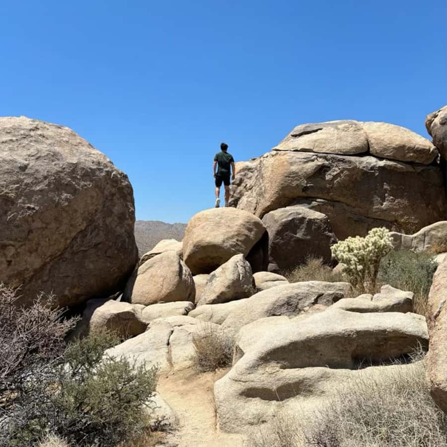 Joshua Tree National Park Tours | Private Tour (Max 10) - Is $550 good value for your group?