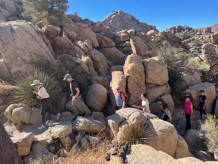 Joshua Tree National Park Tours | Private Tour (Max 10) - Hidden Valley puts you among the boulders