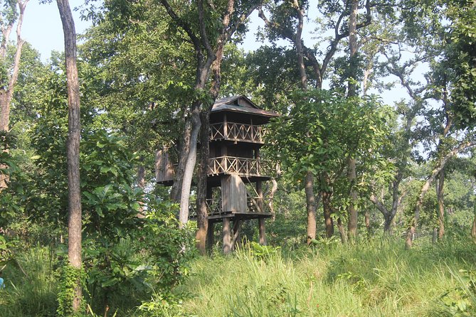 Jungle Towernight Stay In Chitwan National Park ,nepal-2 Nights 3 Days Package - At a glance