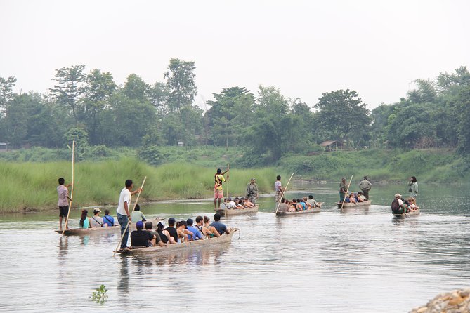 Jungle Towernight Stay In Chitwan National Park ,nepal-2 Nights 3 Days Package - What the tower night is really like