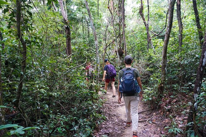 Jungle Trekking Tour at Phnom Kulen National Park from Siem Reap - Why Phnom Kulen makes a good change from temple hopping