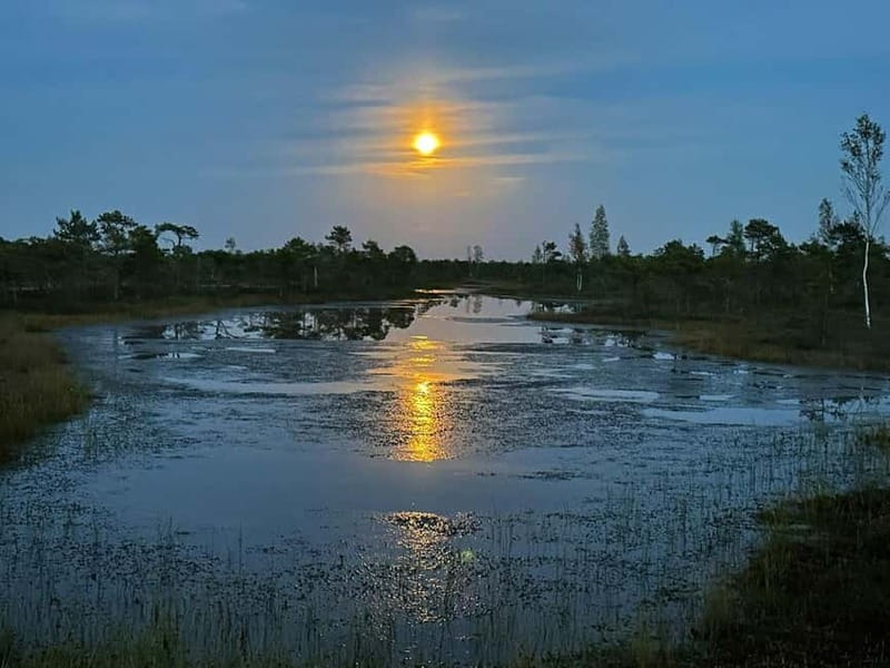 Jurmala: Kemeri National Park Sunset Trip - Why Kemeri Great Bog is the real attraction