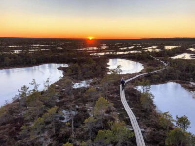 Jurmala: Kemeri National Park Sunset Trip