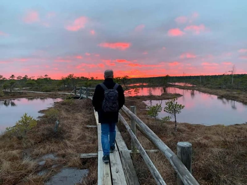Jurmala: Kemeri National Park Sunset Trip - Who will enjoy this evening trip